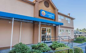 Comfort Inn On The Bay